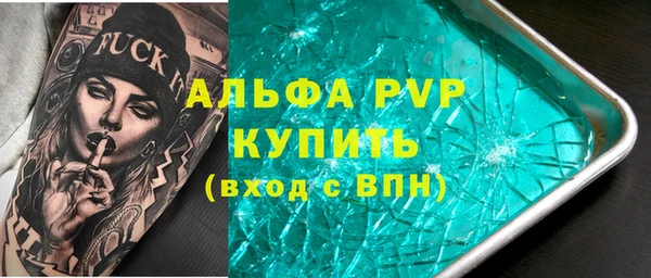 шишки Осинники