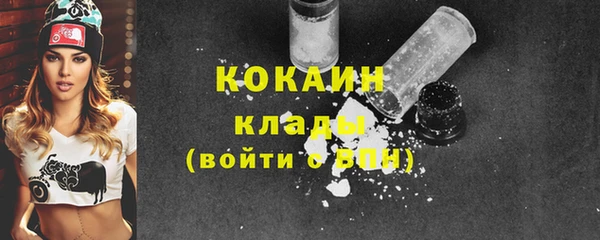 гашик Карпинск