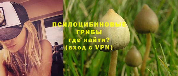 шишки Касимов